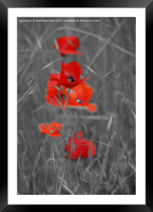 Colour pop Red Framed Mounted Print by Matthew Balls