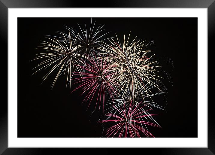 Splash of Pink & Silver Framed Mounted Print by Donna Collett