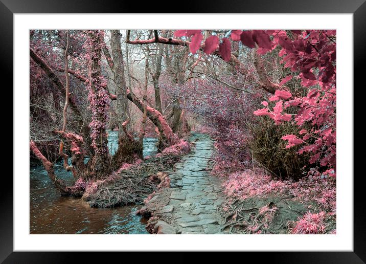 Rivelin Valley Infrared Framed Mounted Print by Steve Smith