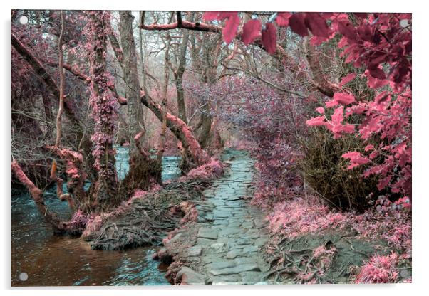 Rivelin Valley Infrared Acrylic by Steve Smith