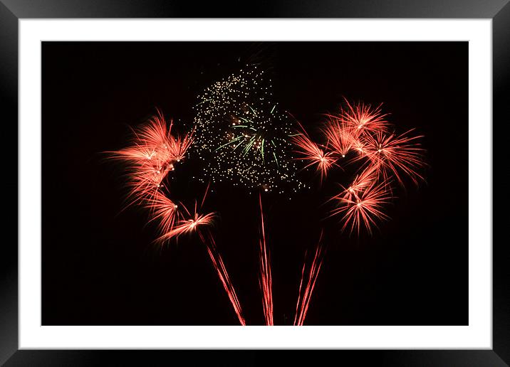 Fireworks Framed Mounted Print by Donna Collett