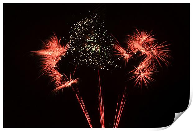 Fireworks Print by Donna Collett