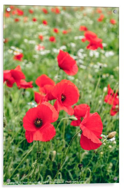 Poppy Field of Red Poppies in Summer Acrylic by Pearl Bucknall
