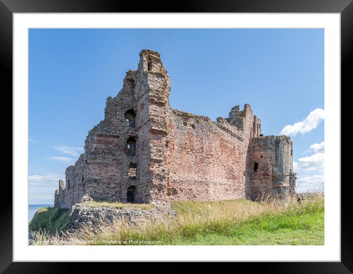 The remains of the north and west walls of Tantallon Castle, North Berwick, East Lothian, Scotland Framed Mounted Print by Dave Collins