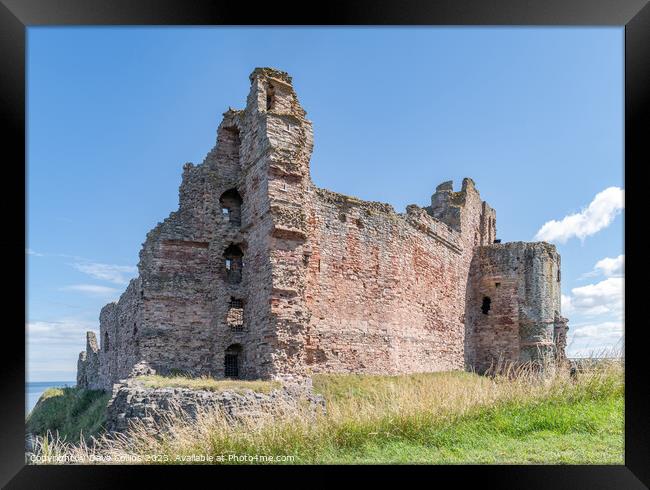 The remains of the north and west walls of Tantallon Castle, North Berwick, East Lothian, Scotland Framed Print by Dave Collins