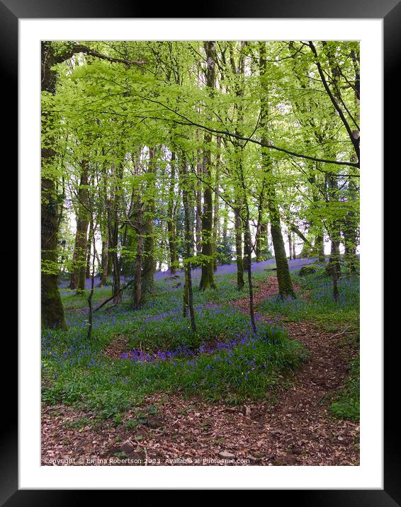 Irish bluebell woods Framed Mounted Print by Emma Robertson