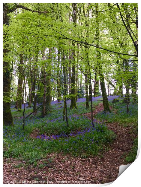 Irish bluebell woods Print by Emma Robertson