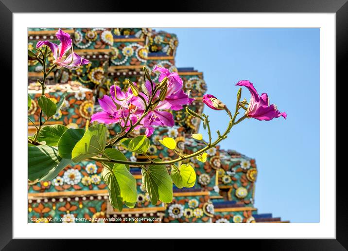 Orchid Tree Flowers Ceramic Pagoda Wat Pho Bangkok Thailand Framed Mounted Print by William Perry