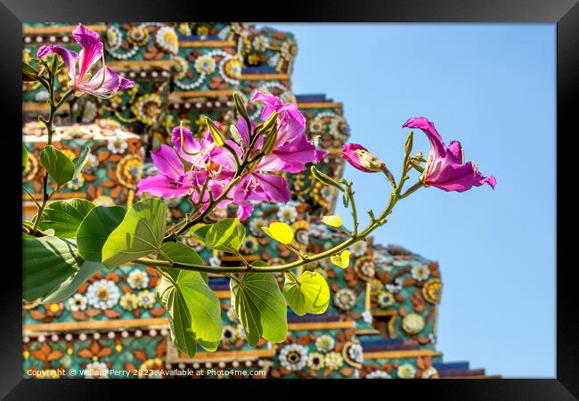 Orchid Tree Flowers Ceramic Pagoda Wat Pho Bangkok Thailand Framed Print by William Perry