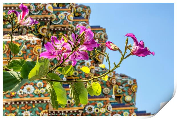 Orchid Tree Flowers Ceramic Pagoda Wat Pho Bangkok Thailand Print by William Perry