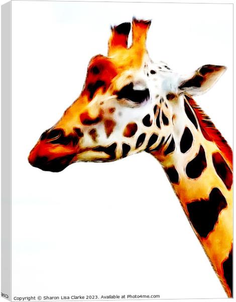 Giraffe Canvas Print by Sharon Lisa Clarke