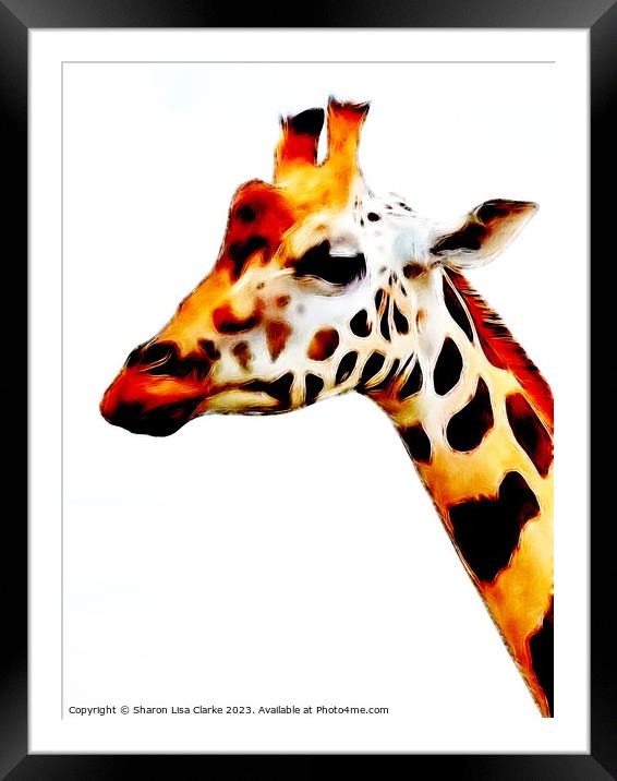 Giraffe Framed Mounted Print by Sharon Lisa Clarke