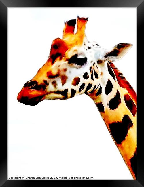 Giraffe Framed Print by Sharon Lisa Clarke