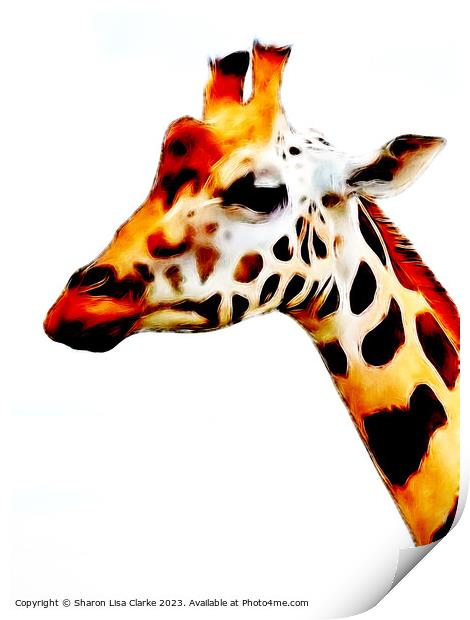 Giraffe Print by Sharon Lisa Clarke