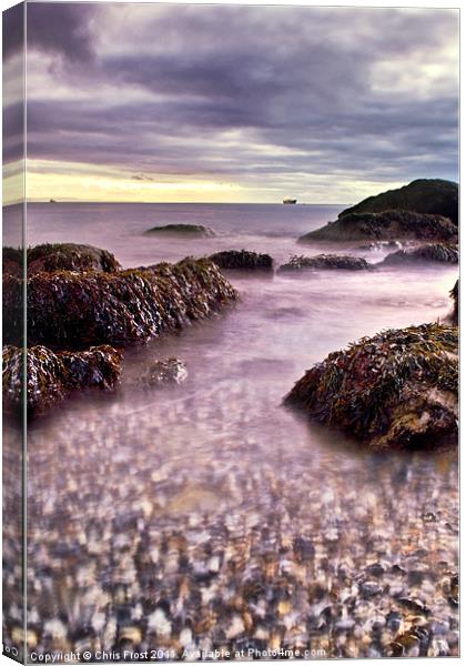 Pebbles of Chesil Canvas Print by Chris Frost