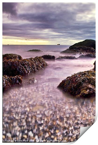Pebbles of Chesil Print by Chris Frost