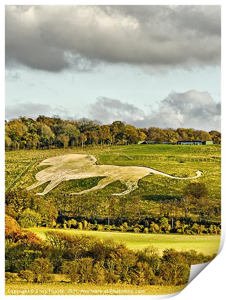 Whipsnade White Lion Print by Chris Thaxter