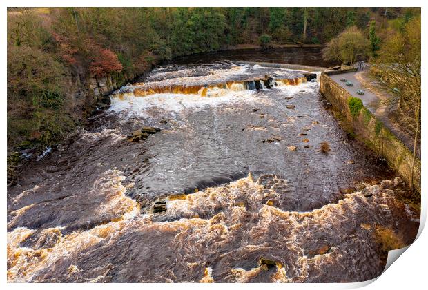 Richmond Falls Print by Steve Smith