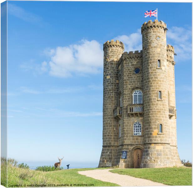 Stag at the foot of Broadway Tower Canvas Print by Keith Douglas