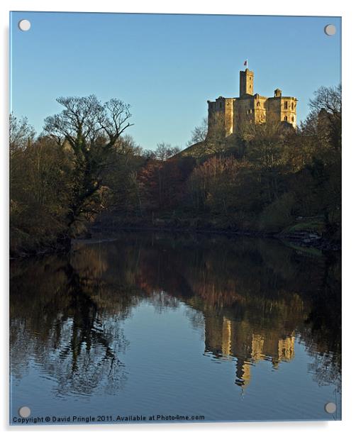 Warkworth Castle Reflection Acrylic by David Pringle