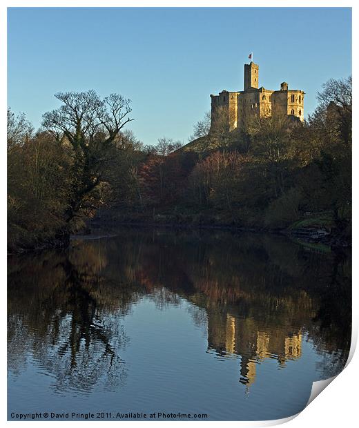 Warkworth Castle Reflection Print by David Pringle