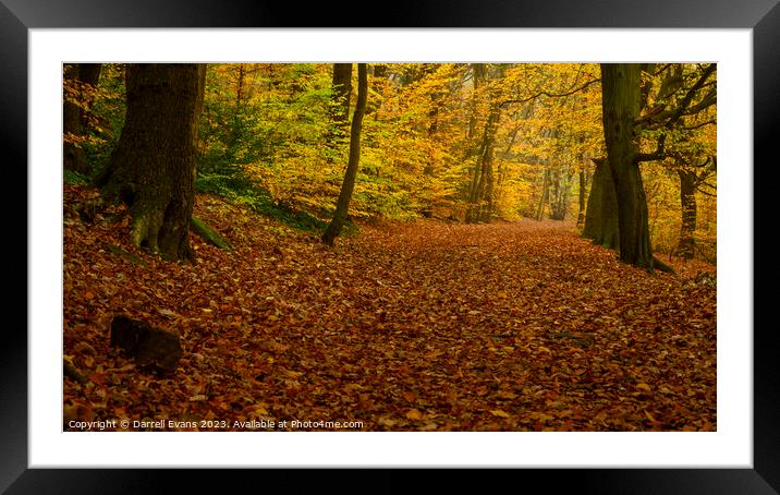 Path through the woods Framed Mounted Print by Darrell Evans