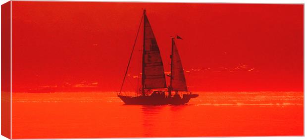 Warm Sailing Canvas Print by Louise Godwin