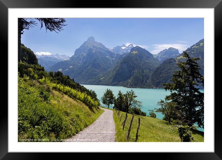 Path to Beautiful Urnersee, Switzerland Framed Mounted Print by Imladris 