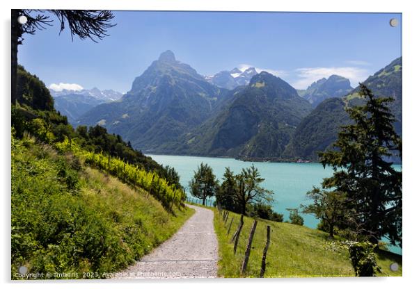 Path to Beautiful Urnersee, Switzerland Acrylic by Imladris 