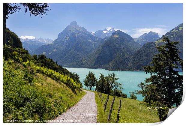 Path to Beautiful Urnersee, Switzerland Print by Imladris 