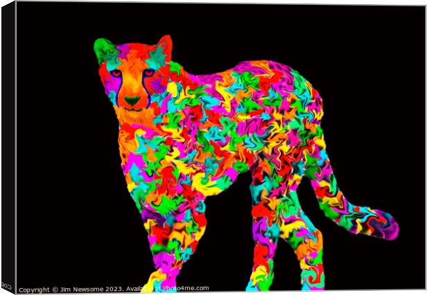 Multi coloured Cheetah Canvas Print by Jim Newsome