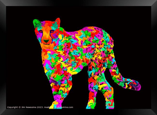 Multi coloured Cheetah Framed Print by Jim Newsome