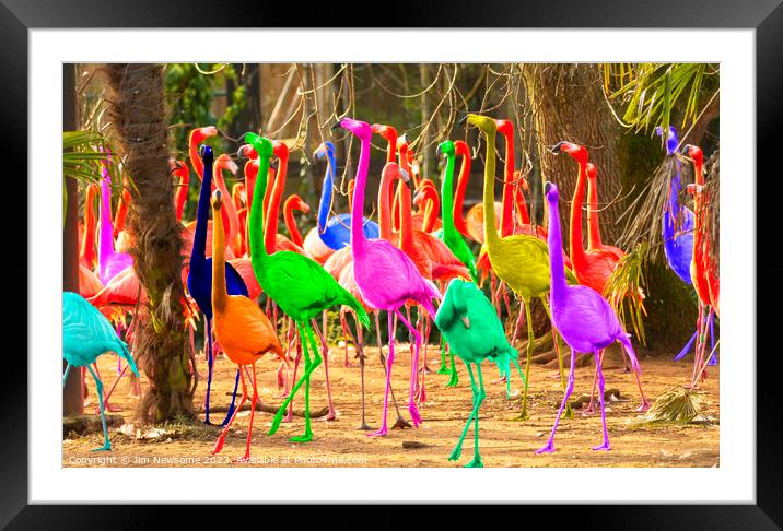 Painted Flamingos Framed Mounted Print by Jim Newsome