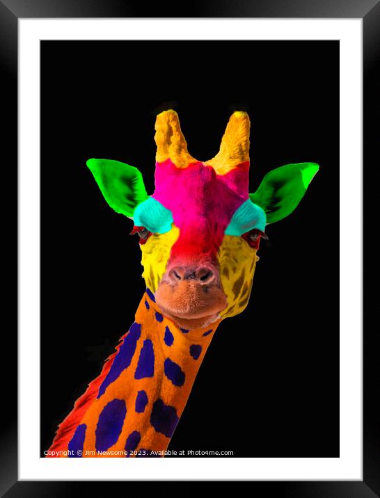 Multi Coloured Giraffe Framed Mounted Print by Jim Newsome