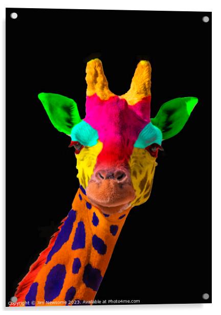 Multi Coloured Giraffe Acrylic by Jim Newsome