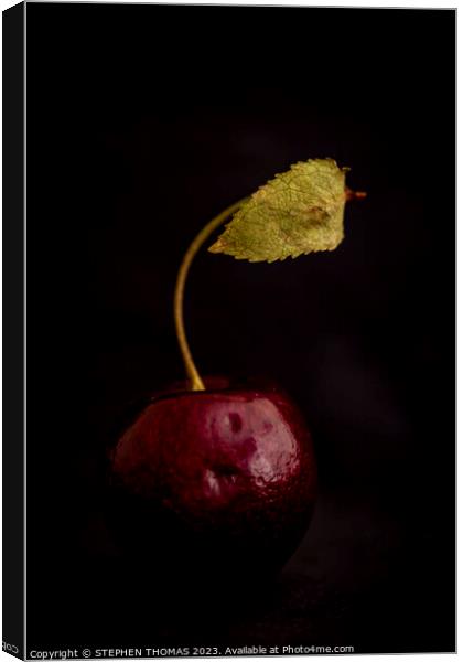 Cherry With Leaf Canvas Print by STEPHEN THOMAS