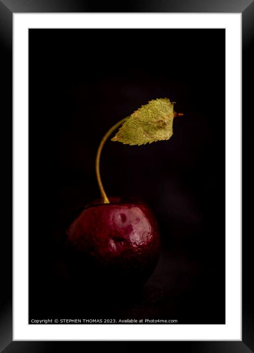 Cherry With Leaf Framed Mounted Print by STEPHEN THOMAS