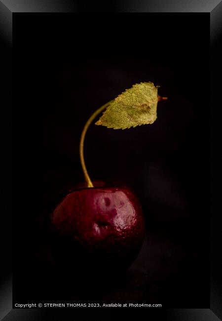 Cherry With Leaf Framed Print by STEPHEN THOMAS