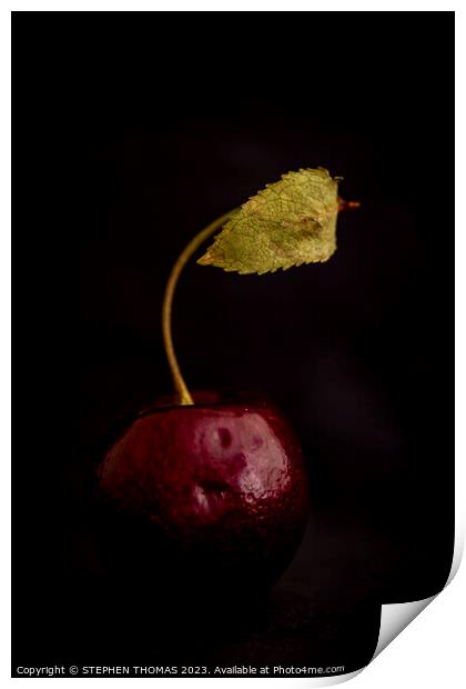 Cherry With Leaf Print by STEPHEN THOMAS