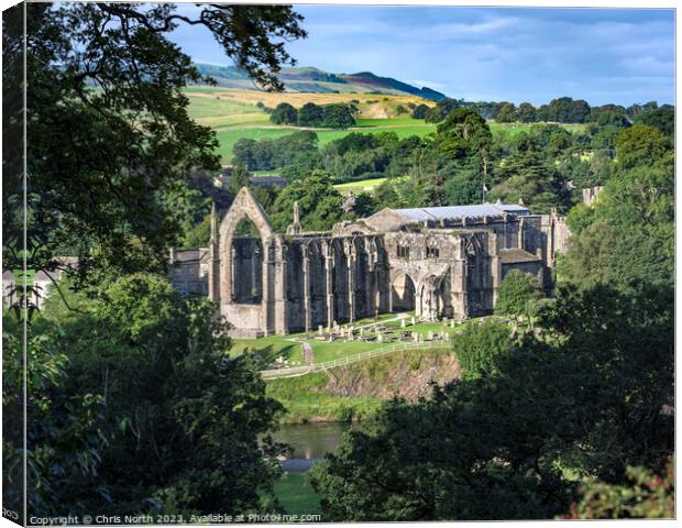 Bolton Abbey in the Yorkshire Dales Canvas Print by Chris North
