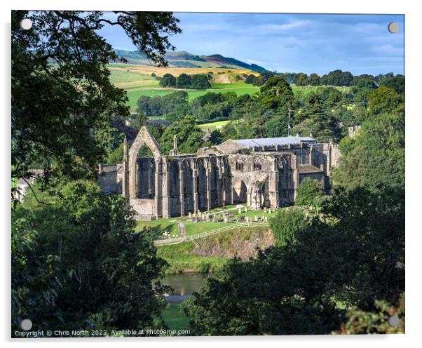 Bolton Abbey in the Yorkshire Dales Acrylic by Chris North