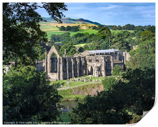 Bolton Abbey in the Yorkshire Dales Print by Chris North