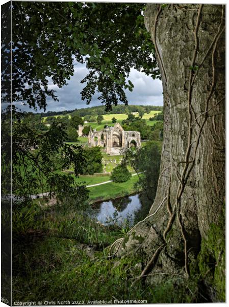Bolton Abbey, in the heart of the Yorkshire, Dales. Canvas Print by Chris North
