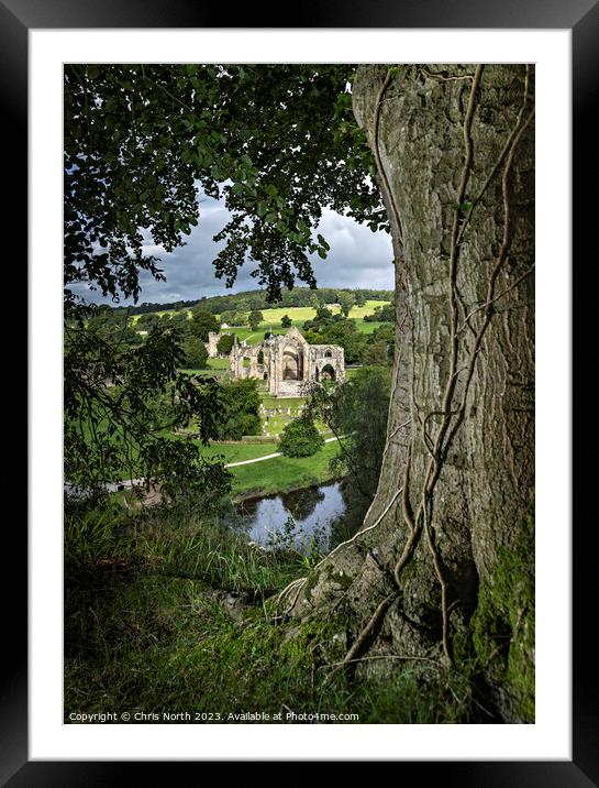 Bolton Abbey, in the heart of the Yorkshire, Dales. Framed Mounted Print by Chris North