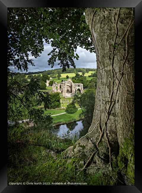 Bolton Abbey, in the heart of the Yorkshire, Dales. Framed Print by Chris North