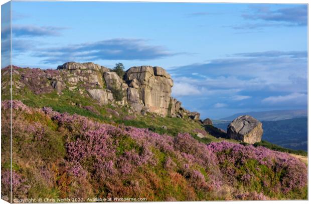 Cow and Calf rocks Canvas Print by Chris North