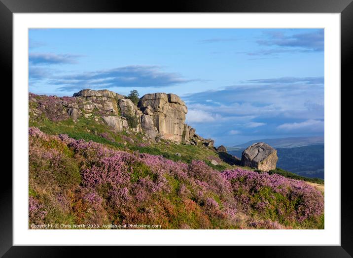 Cow and Calf rocks Framed Mounted Print by Chris North