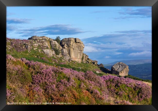 Cow and Calf rocks Framed Print by Chris North
