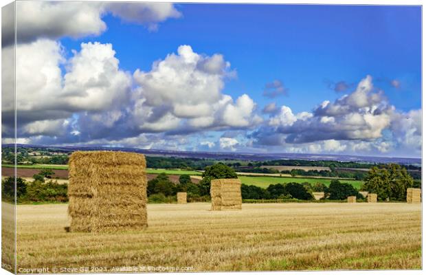 Large Hay Bales Waiting to be Harvested Under Ominous Summer Skies. Canvas Print by Steve Gill