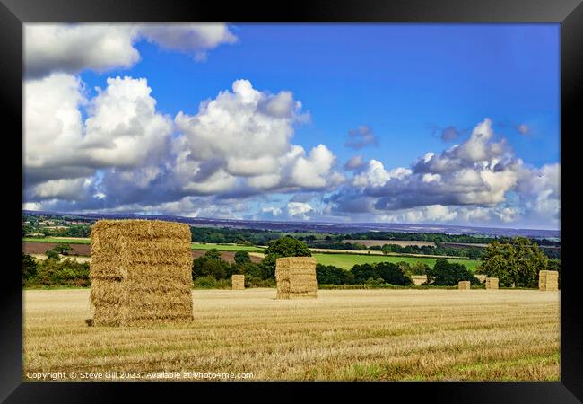 Large Hay Bales Waiting to be Harvested Under Ominous Summer Skies. Framed Print by Steve Gill